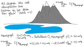 Physiologie: Atmung 5 – Atemregulation und Atemreize, Atmung in extremen Umwelten