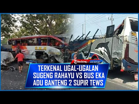 🔴Terkenal Ugal-ugalan, Bus Sugeng Rahayu Vs Bus Eka Adu Banteng di Ngawi, Dua Bus Hancur