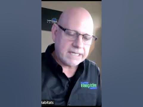 The Truth About Big Box Reptile Stores @CustomReptileHabitats - YouTube