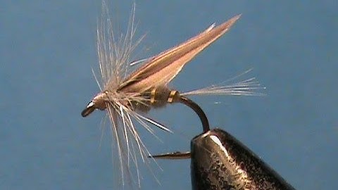 Fly Tying a Classic Dry Fly the Blue Sedge with Jim Misiura