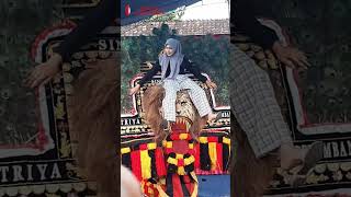 Download Lagu CEWEK CANTIK NAIK DADAK MERAK REOG PONOROGO SATRYA BELAMBANGAN JARANAN ARUM BUDOYO #shorts MP3