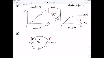Introduction to developing a causal loop diagram