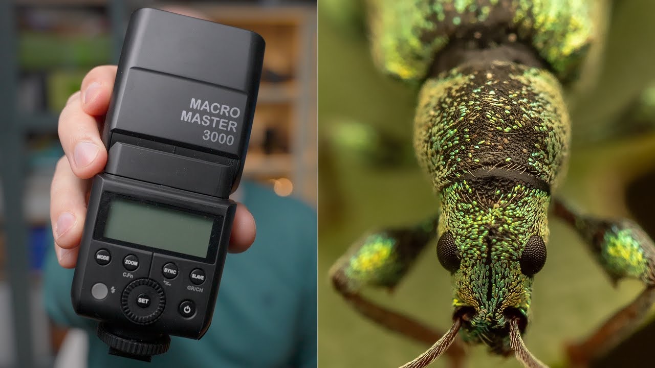 5 Best Flashes for Macro Photography to Buy in 2024