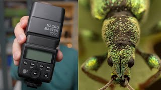 Best Flash and Flash Settings for Macro Photography