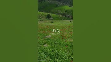 سورة غافر #القران_الكريم #راحة_نفسية #اكسبلور #الرحمن #لايك #دويتو #حالات_واتس