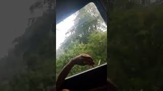 #tede mede raste#masoomsharma#masoomsharmanewsong #viral #trending