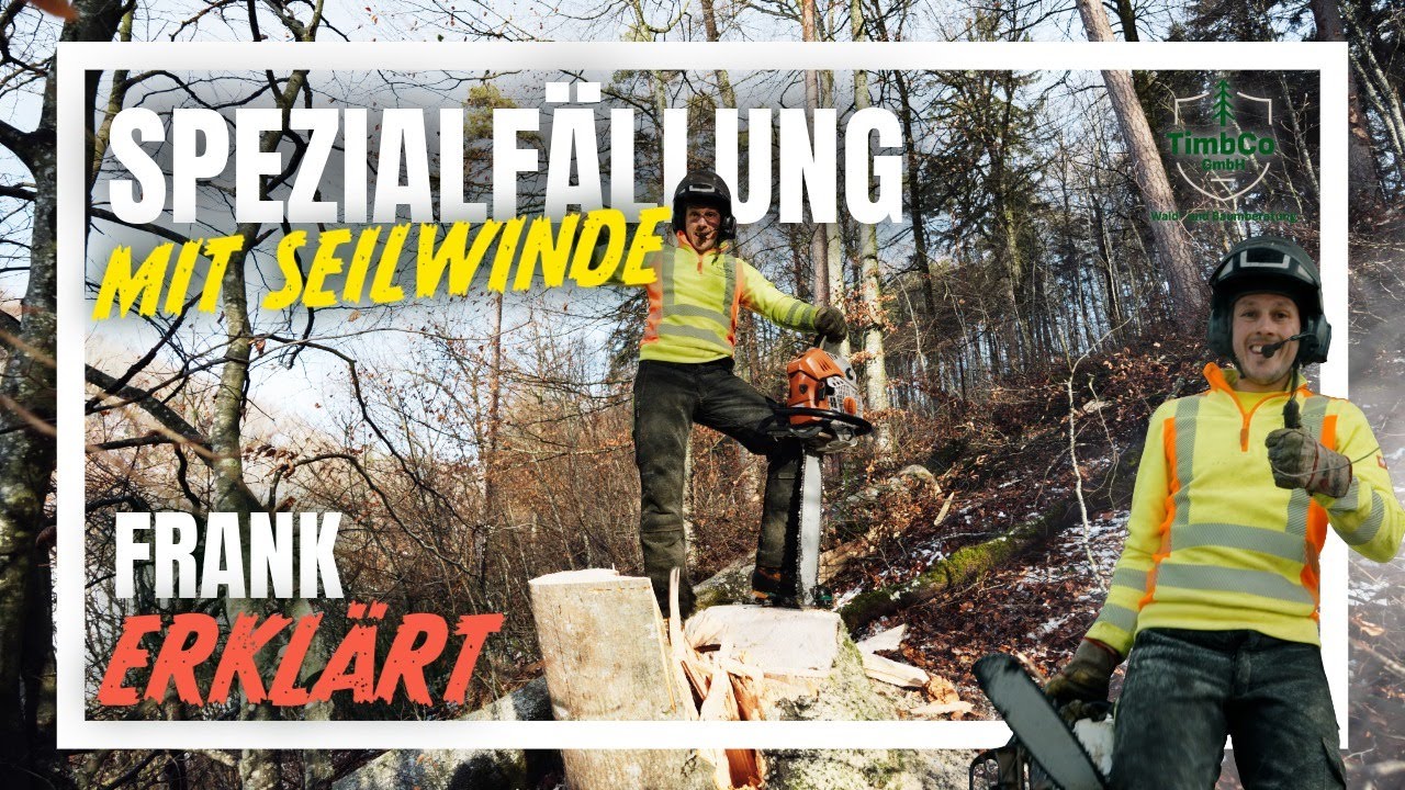Spezialbaumfällung perfekt gemeistert 💪 | Seilwinde, Bruchleiste & Stammpresse | TimbCo GmbH
