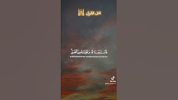 القرآن الكريم سورة الانبياء # #سورة_الانبياء #تلاوة خاشعة#راحة نفسية #القرآن_الكريم #tiktok