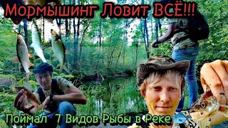 Мормышинг Ловит ВСЕ!!! Поймал 7 Видов Рыбы в Реке