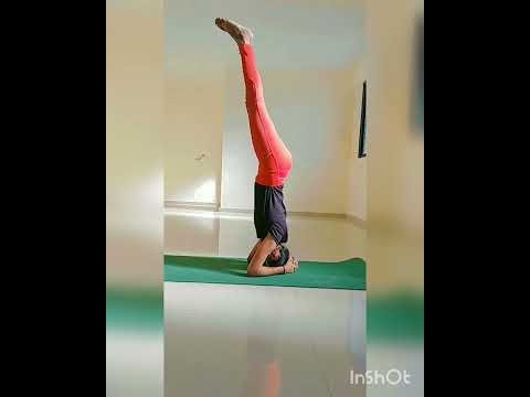 Head standing strics....Yoga with mina... Advance yoga..