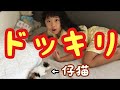 【ドッキリ】いるはずのない猫が家にいたら、、、
