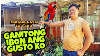 AMAZING BIRDS IN PLARIDEL BULACAN