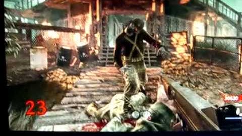 Pt. 4 No Perks/Mystery Box Shi No Numa Run