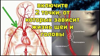 Беспокоит Шея, Мозг Голодает Без Свежей Крови? Включите Две Точки: К27 И Сонный Гломус