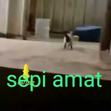 Sepi nemen versi 2