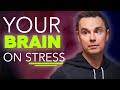 Stress and how to conquer it