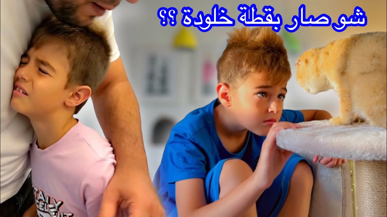 شو صار بقطة خلودة (ياترى لسا عايشة🥹)