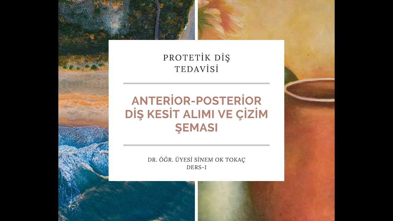 DERS-1   ANTERİOR-POSTERİOR DİŞ KESİT ALIMI VE ÇİZİM ŞEMASI