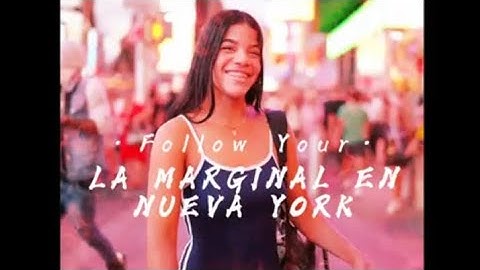 yoaibimar la marginal en niu york la Venezolana más viral del momento