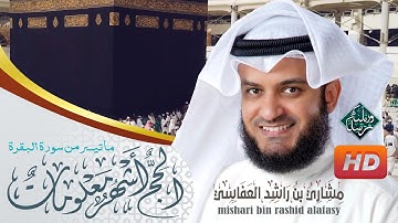 الحج أشهر معلومات | الشيخ مشاري بن راشد العفاسي | من سورة البقرة