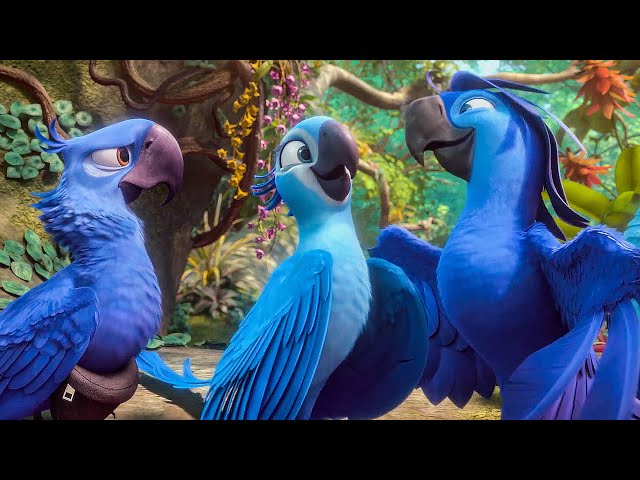 rio2 #filmes #engraçados #meme #viral #música #trechosdefilmes