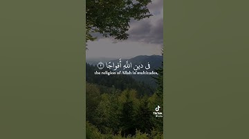 🌴سورة النصر🌴 بصوت القارئ رعد الكردي (ما شاء الله)