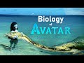 The Biology of Avatar 2