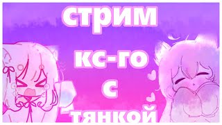 🌸◤СТРИМ◥ тян в кс2 ◀ Counter-Strike 2 ▶ ааааа что куда!?