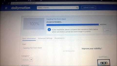 DailyMotion Video Uploading Error