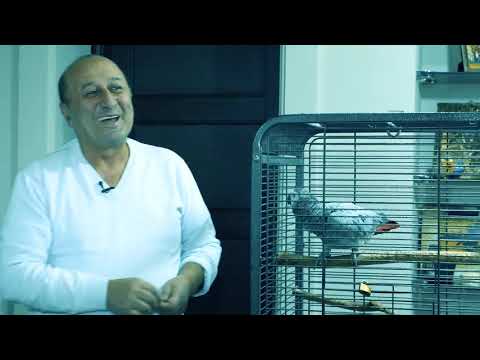 ვიდეო: რა ღირს თუთიყუში