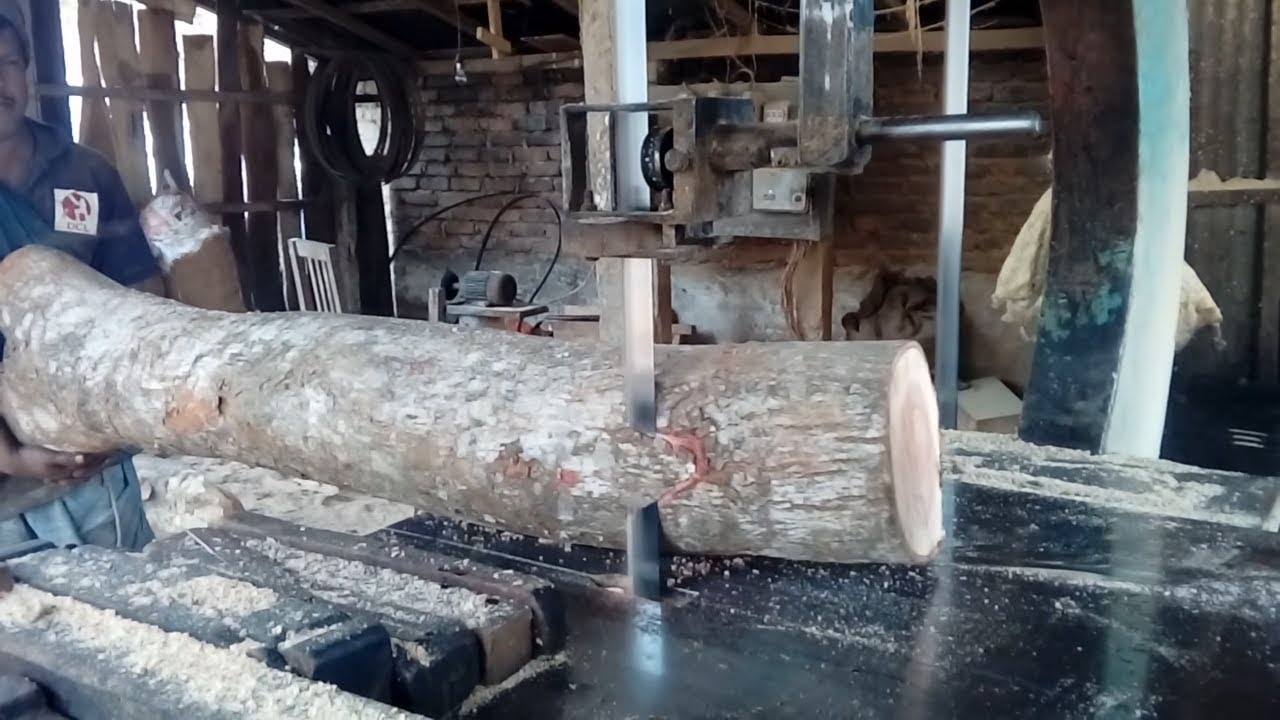 High quality of Mahogany Red Wood Cutting in Rural Village Saw Mill of