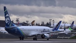 New Alaska Airlines Livery Boeing 737-900 Delivery Flight @ KPAE Paine Field