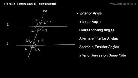 Parallel Lines and Transversal