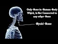 Only Bone Not Connected to Another Bone - Hyoid Bone