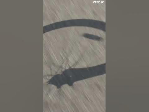 Why Can't Bicycles Stand Up by Themselves? - YouTube