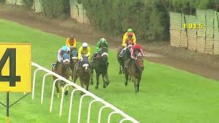 RACE NO : 115 - FOREST FRAGRANCE WINS - The Farewell Cup