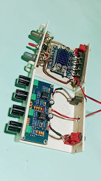 VIEW TONE CONTROL & TPA 3110#shorts