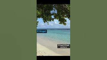Thumbnail of D’Angel#Single mothers #viralvideos #reggae #fyppppppppppppppppppppppp