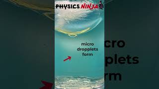 Interesting Fluid Dynamics - Ice melting in Oil  #physicsninja #physics #stem
