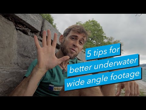 5 Tips for