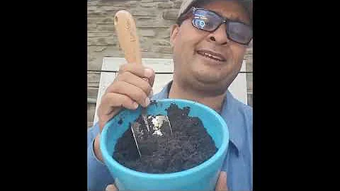 Knowledge keeper Isaac Crosby discusses sustainable agriculture using traditional Indigenous methods