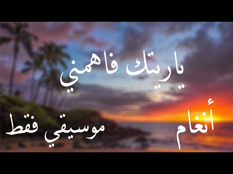 انغام ياريتك فاهمني موسيقي فقط     