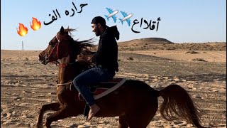 الخيل من خيالها.🔥💪🏼. انا وحصاني الليث مشاءالله (شيلة ماجد الرسلاني)