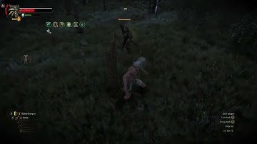 W3EE redux: School of the Hobo part 2: Nightly brawls