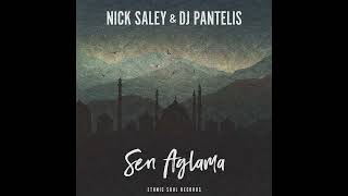 Nick Saley & DJ Pantelis - Sen Aglama [Free Download] Resimi