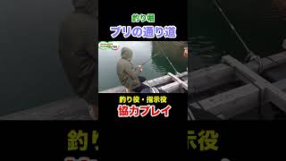 釣り堀でブリの通り道を発見！ #shorts #釣りよかでしょう #釣りよか #釣り #fishing