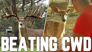 Stopping CWD through Breeding | Deer and Wildlife Stories 2023