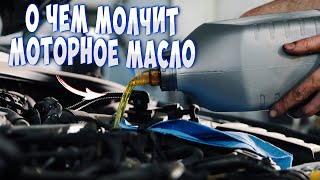 видео: Как понять, какое масло подходит именно вашему автомобилю? Все про масло. Часть 1 картинка: Как понять, какое масло подходит именно вашему автомобилю? Все про масло. Часть 1