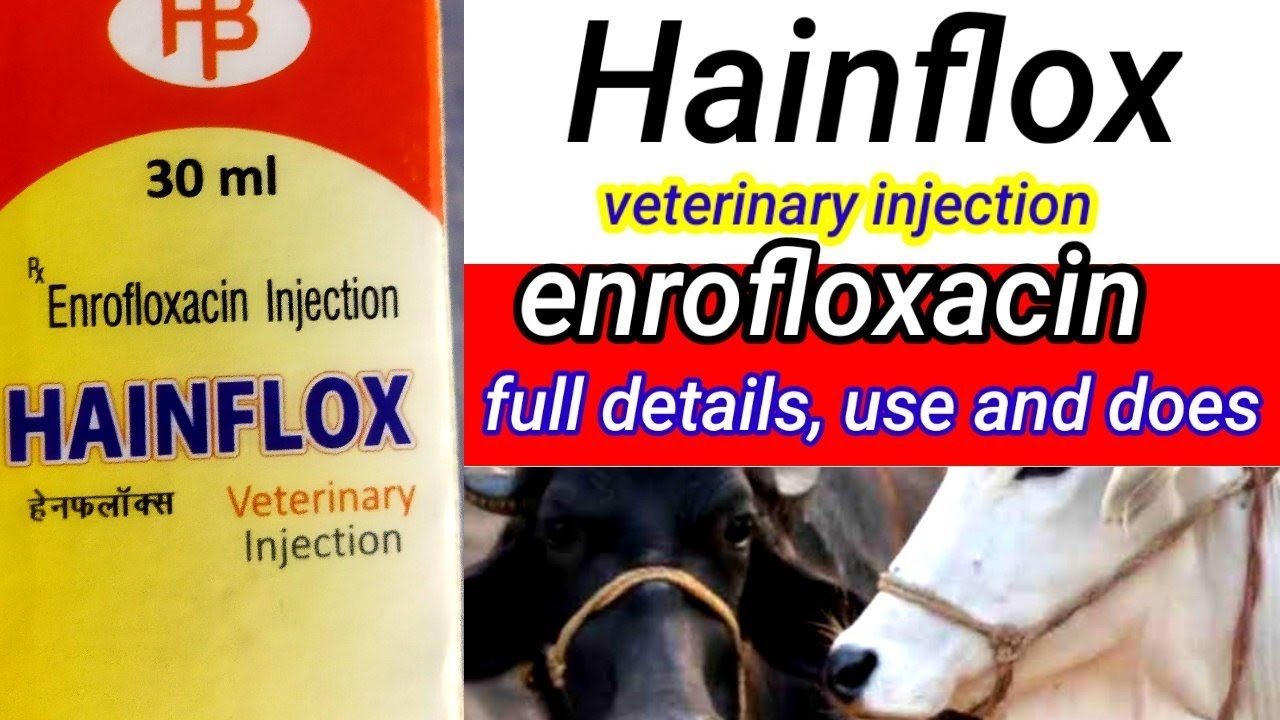 hainflox veterinary injection full knowledge in hindi |  veterinary injection | manjhi veterinary
