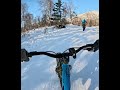 Fat bike Alaska . 